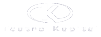 Logo Grupo Kapital